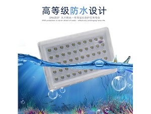 見過會(huì)游泳的投光燈嗎？---思拓達(dá)光電